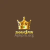 Shah Spin Game