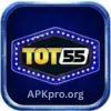 Tot55 Game